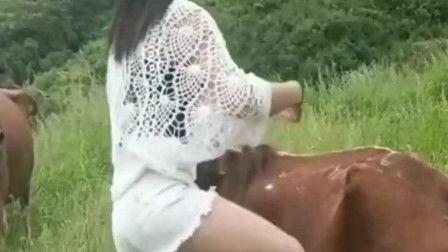 骑射精 在线视频,在线视频揭秘古代骑射技艺