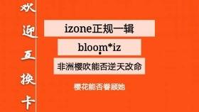 国产非欧在线视频,探索多元文化下的在线视频盛宴